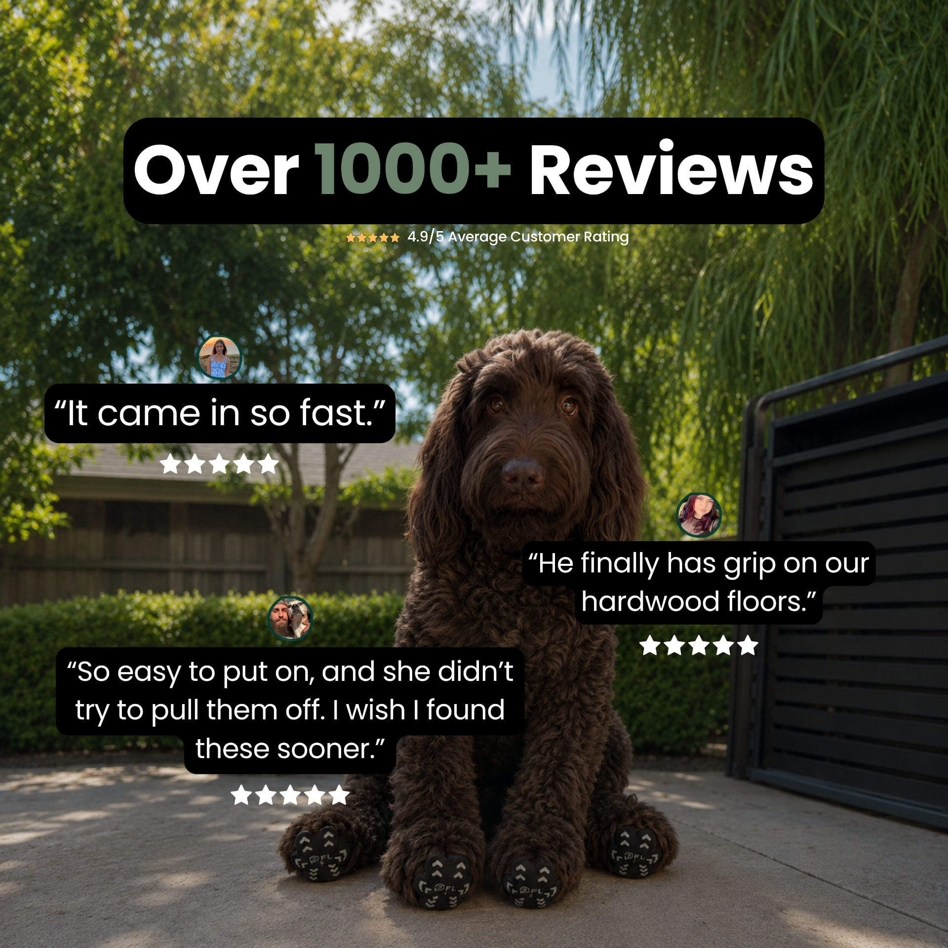 Over 1000+ reviews, 4.9/5 average rating, with customer quotes and a dog wearing Paw Vale pads